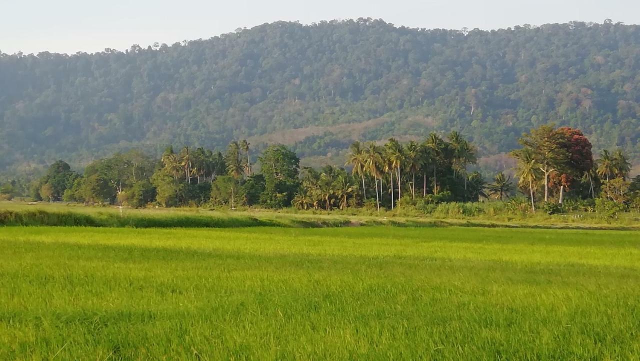 Sabandy House B&B Padang Mat Sirat Экстерьер фото